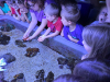 IMG-283f84fdd44cdf70ccf88d42085fcd65-V