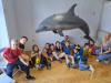 IMG-521518a3acec75041e7689740eae70d1-V