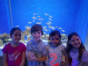 IMG-7699db838df742b10be5ddd195a8b50a-V